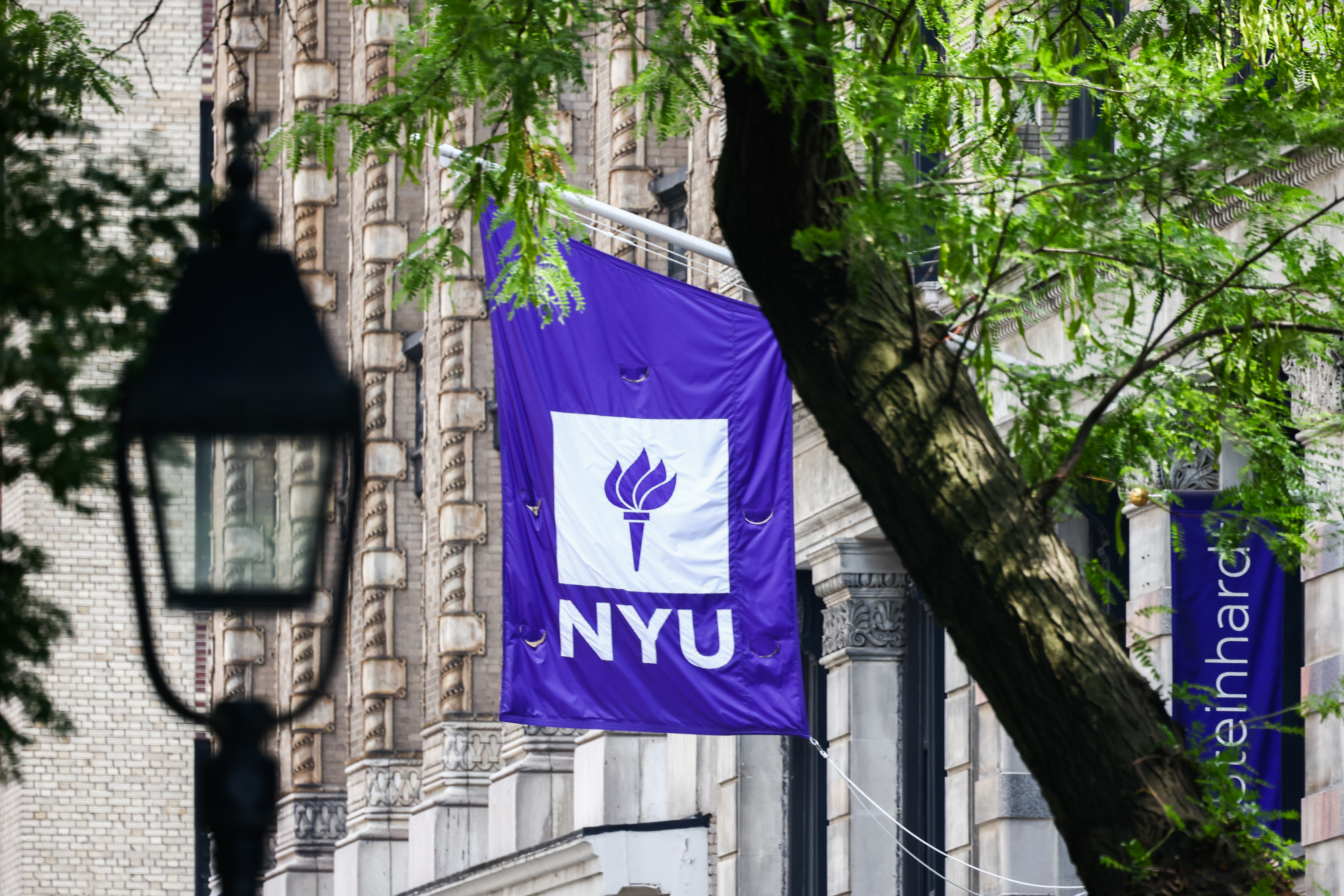 New York University flag